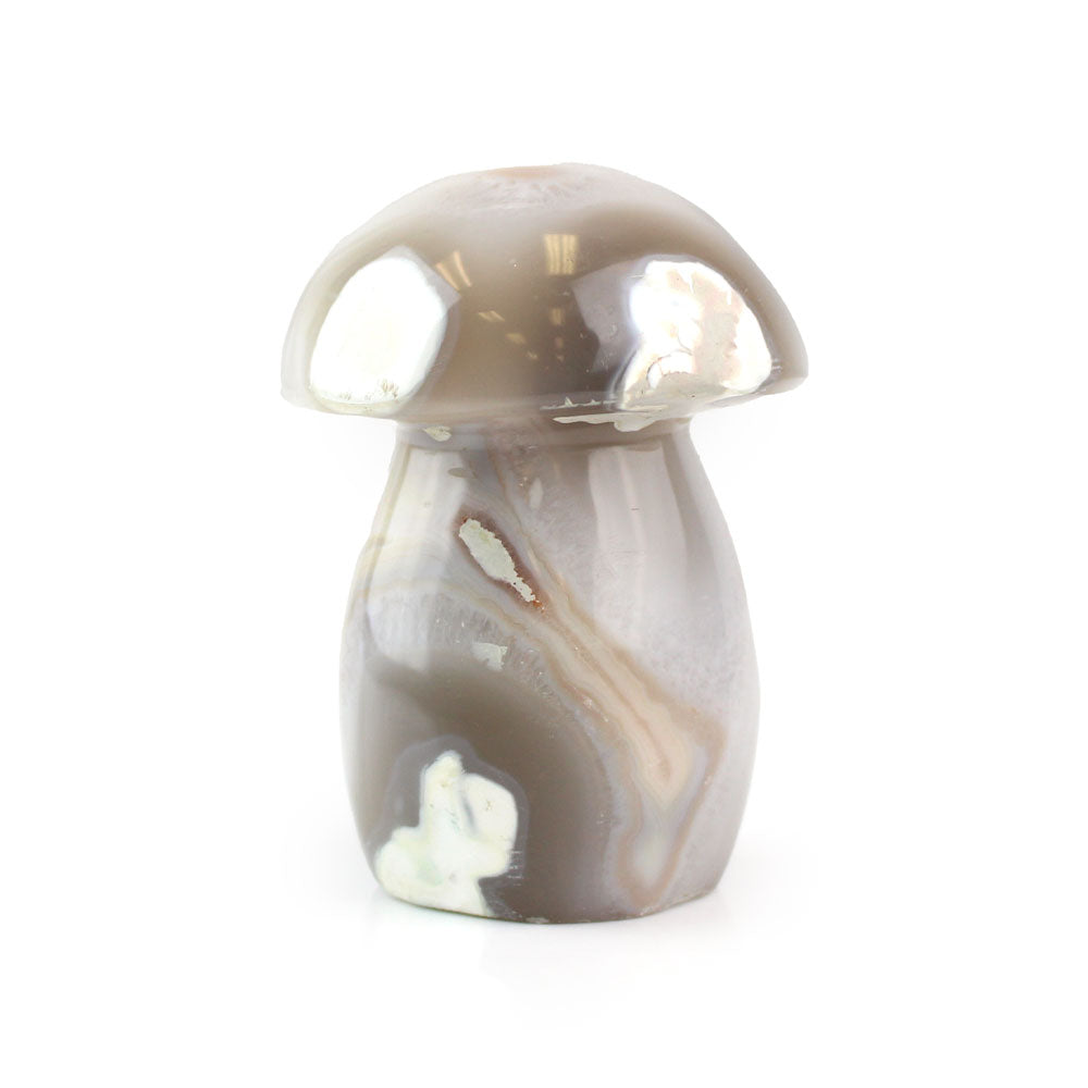 Agate Mushroom