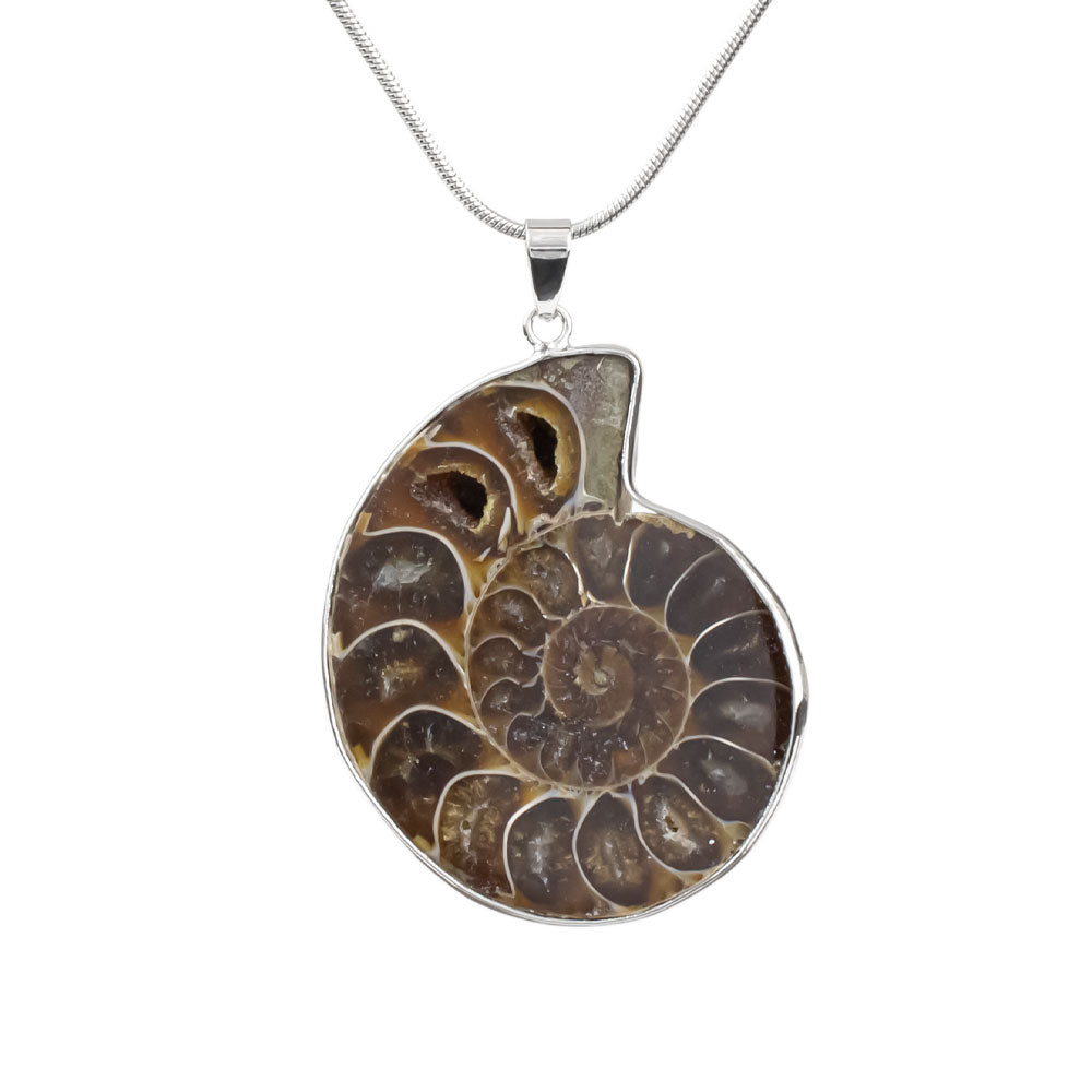 Ammonite Pendant