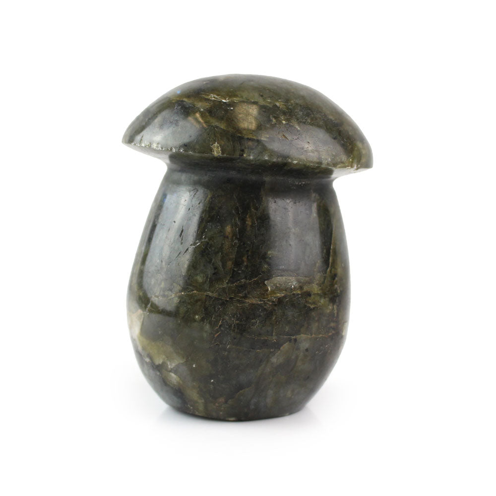 Labradorite Mushroom
