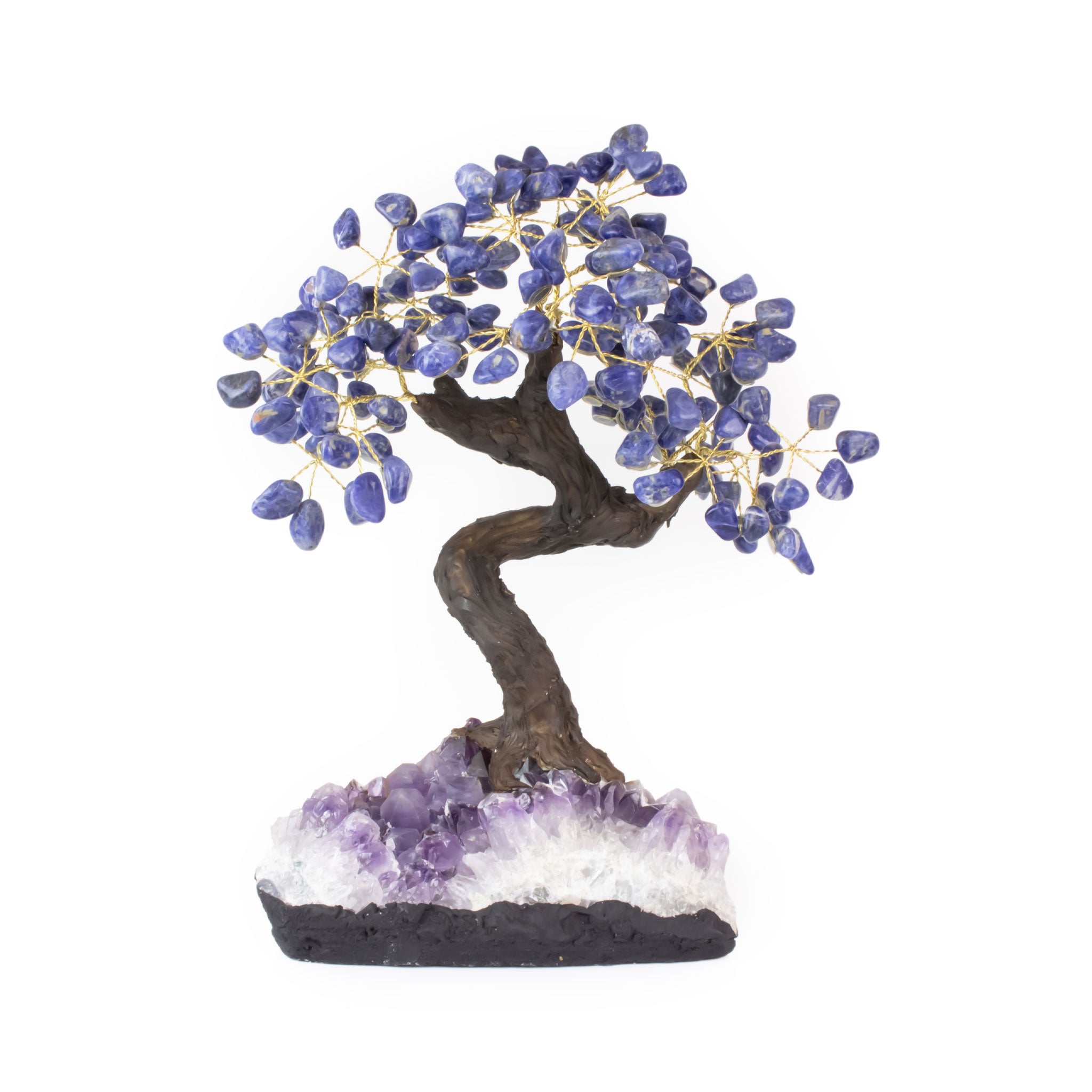 Extra-large Sodalite bonsai tree on raw amethyst base, premium crystal décor for focus and intuition.