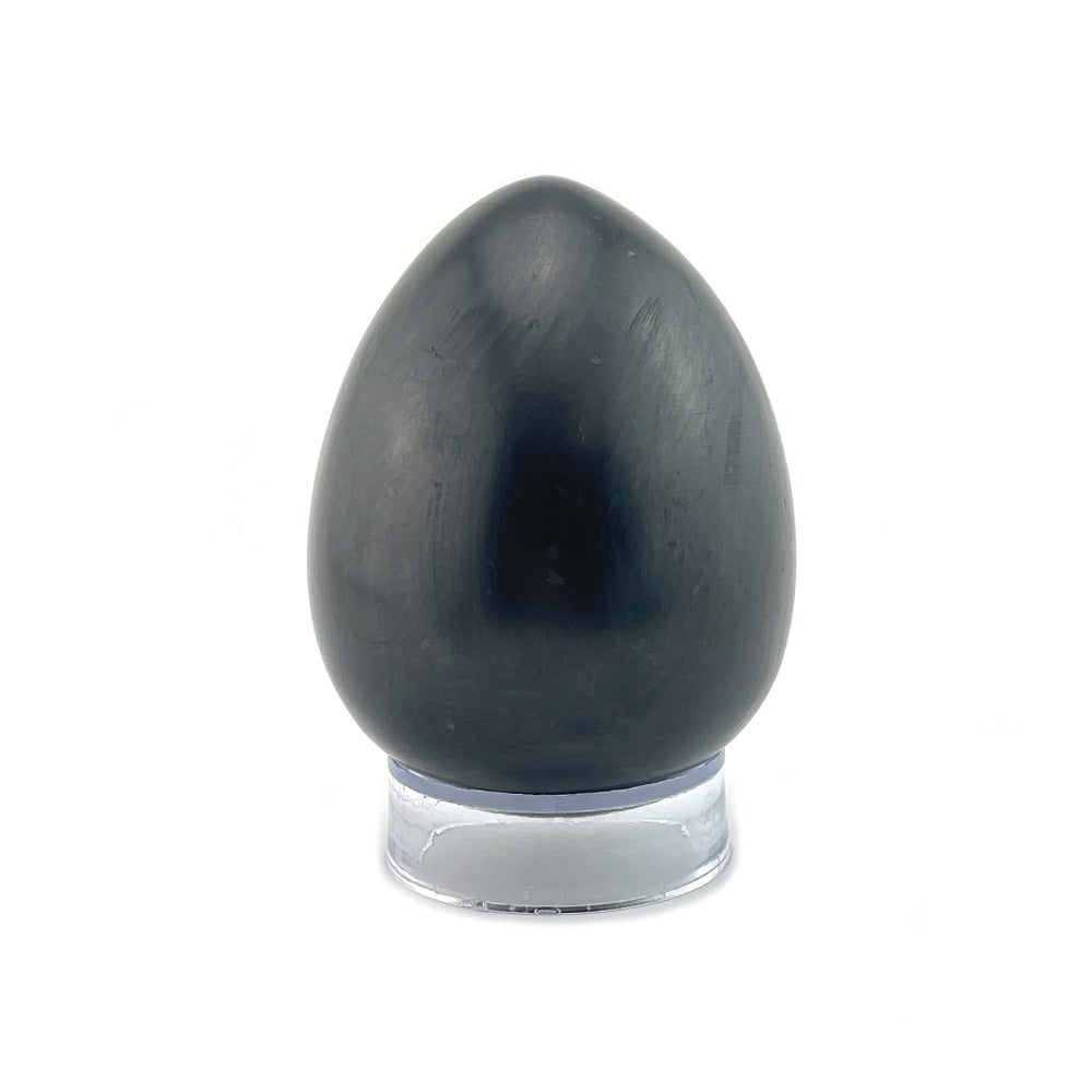 Shungite Polished Egg