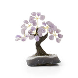 Amethyst Bonsai Tree