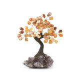 Carnelian Bonsai Tree