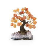 Carnelian Bonsai Tree