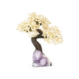 Citrine Bonsai Tree