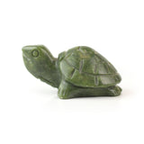 Jade Turtle