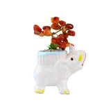 Lucky Elephant Carnelian Tree