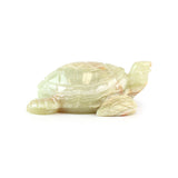 Onyx Turtle