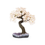 Rose Quartz Bonsai Tree