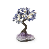 Sodalite Bonsai Tree