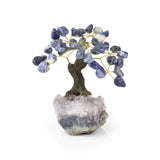 Sodalite Bonsai Tree