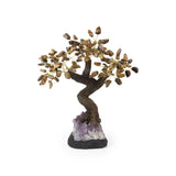 Tiger Eye Bonsai Tree