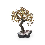 Tiger Eye Bonsai Tree