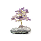 Purple Amethyst Tree on Mixed Gems - Gemstone Tree of Life Decor for Home Energy, Desk Display and Crystal Gifting