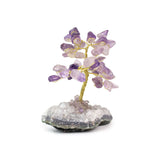 Mini Amethyst Tree