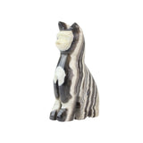 Zebra Onyx Cat