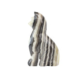 Zebra Onyx Cat