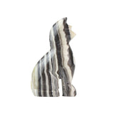 Zebra Onyx Cat