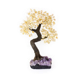 Oversized citrine crystal bonsai tree on amethyst base for powerful feng shui energy and prosperity.