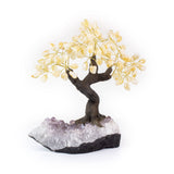 Large citrine gemstone bonsai tree sculpture with tumbled citrine leaves on amethyst foundation.