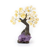 Small citrine bonsai tree with tumbled gemstone leaves on raw amethyst crystal base.