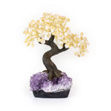 Extra-large citrine bonsai tree rooted in raw amethyst base, symbolizing abundance and joy.