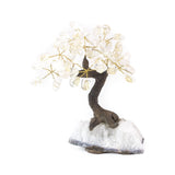 Medium Crystal Quartz bonsai tree with polished quartz stones wired to amethyst base.