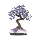 Extra-large Sodalite bonsai tree on raw amethyst base, premium crystal décor for focus and intuition.