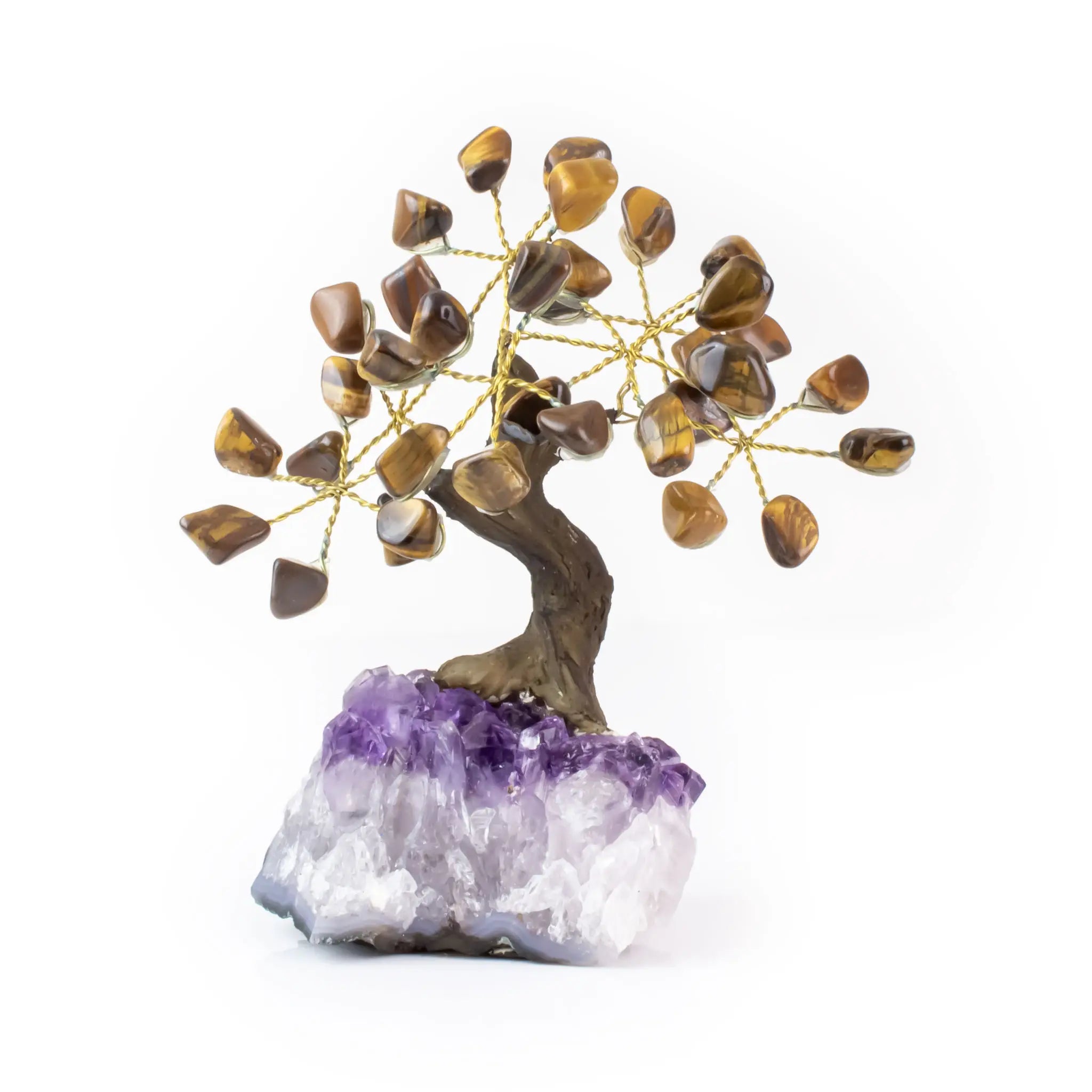 bonsai eye tree Shop Laterra Gems