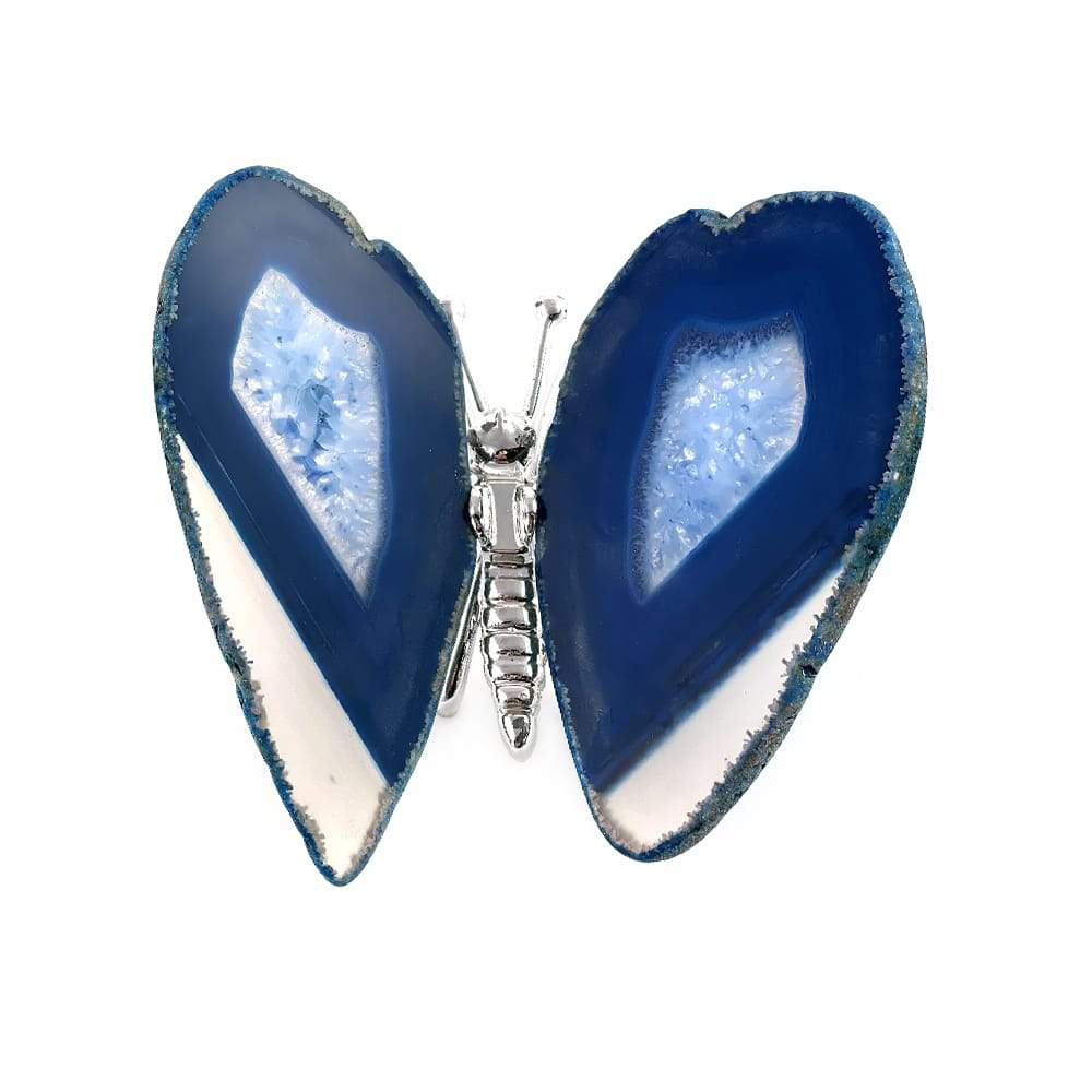 Agate Blue Butterfly